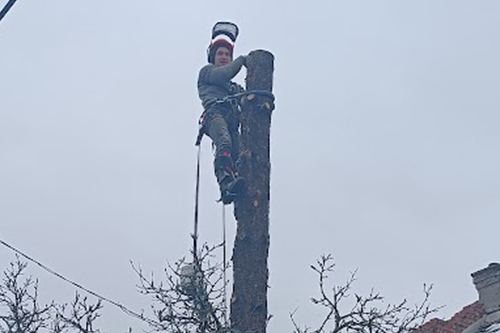 Fakivágás