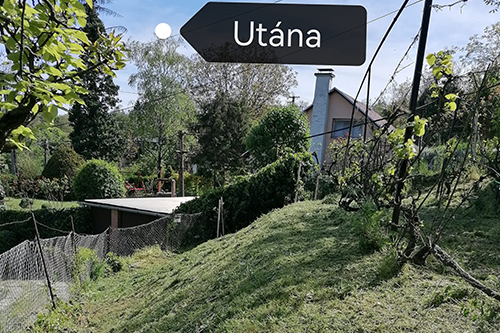 Fűkaszálás