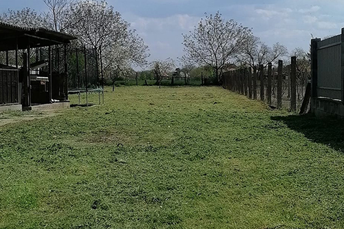 Fűkaszálás