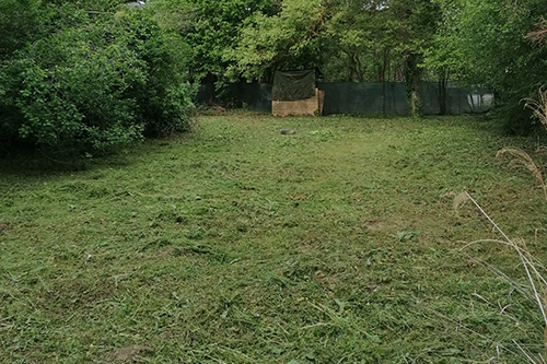 Fűkaszálás